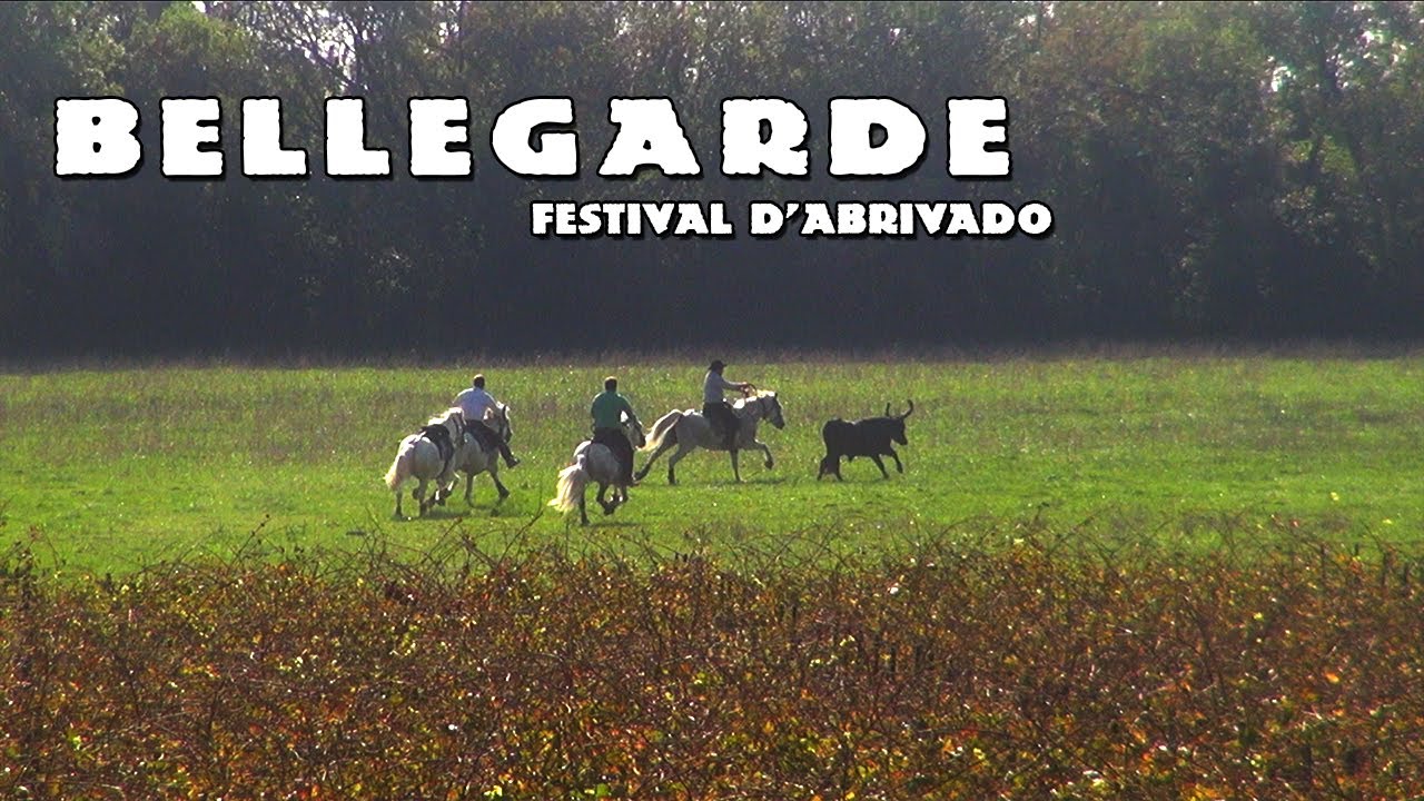 BELLEGARDE Festival Abrivado 10-10-2021 #1 🐴