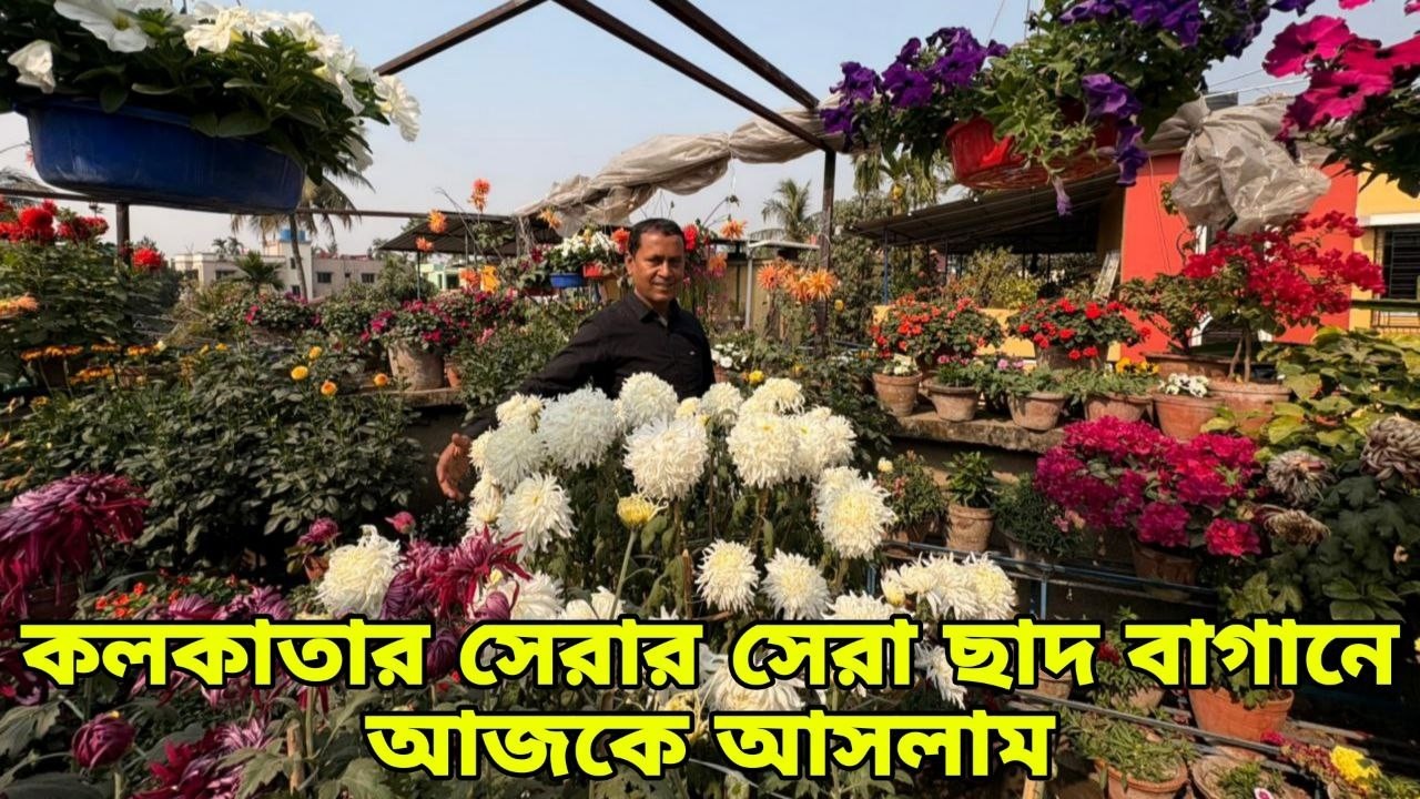 3 বছর পরে এই বাগানে এসে চমকে গেলাম, গোটা ছাদেই চলছে প্রদীপদার পুষ্প প্রদর্শনী | Garden visit |