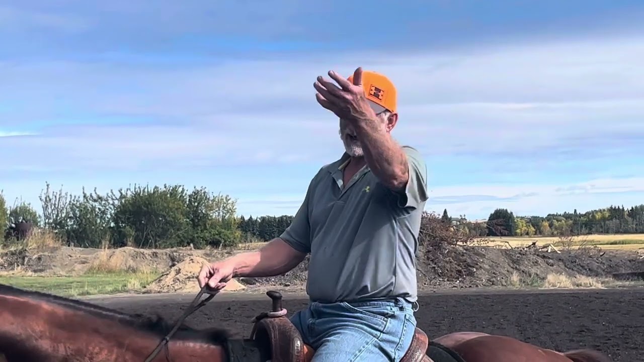 Barrel horse flash 2024