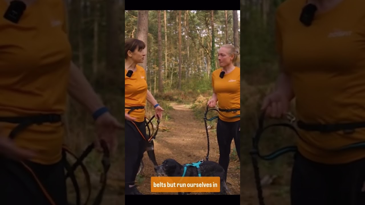 Here we answer one of the FAQ&rsquo;s about the kit we use in Canicross #canicross #dogfituk