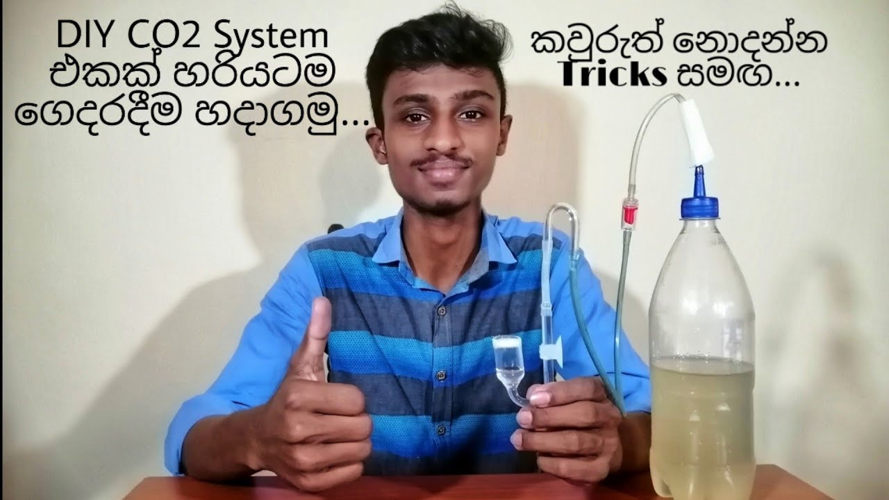 Let's make a DIY CO₂ System exactly at home. with an unknown trick.