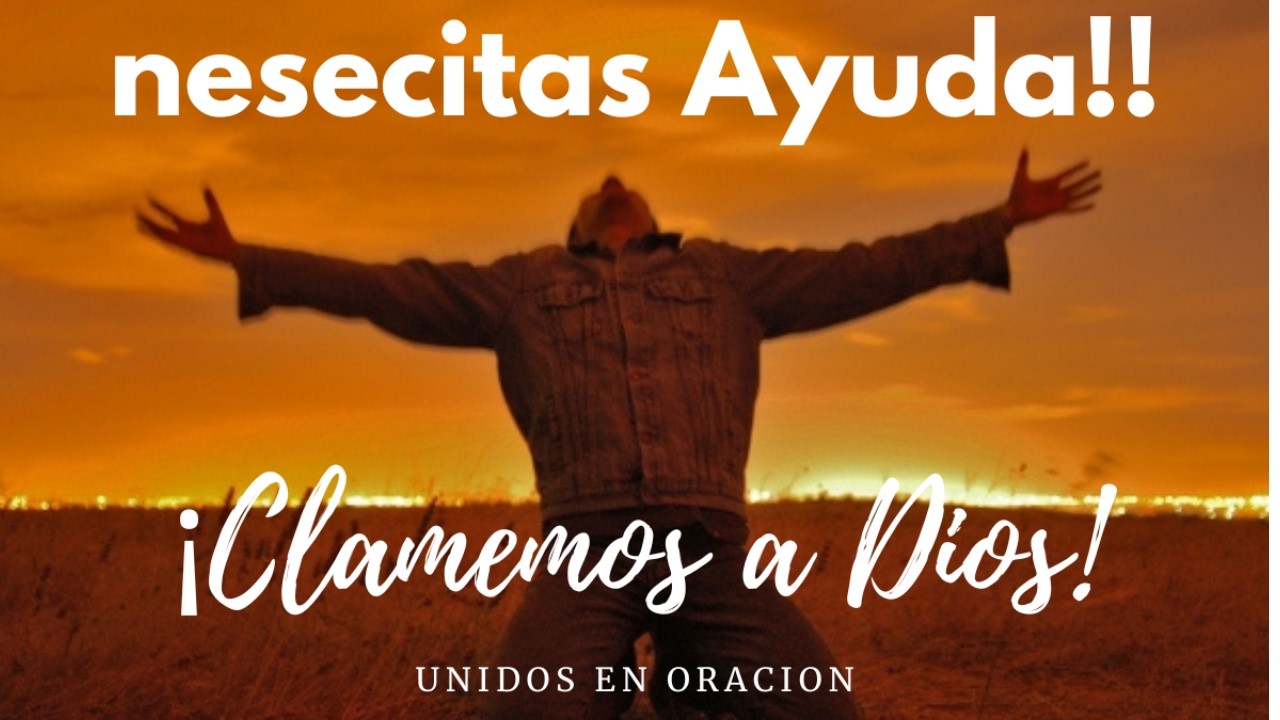 Tardes de Clamor