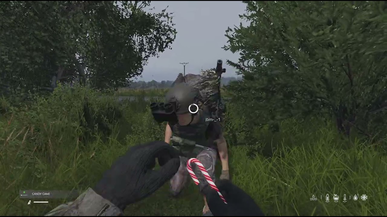 DayZ with 5 people