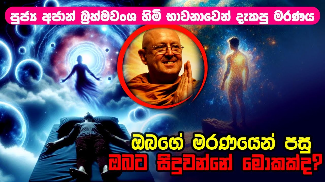 මරණෙන් පස්සේ ඔබට සිදුවන්නේ මොකක්ද? What happens to you after death?