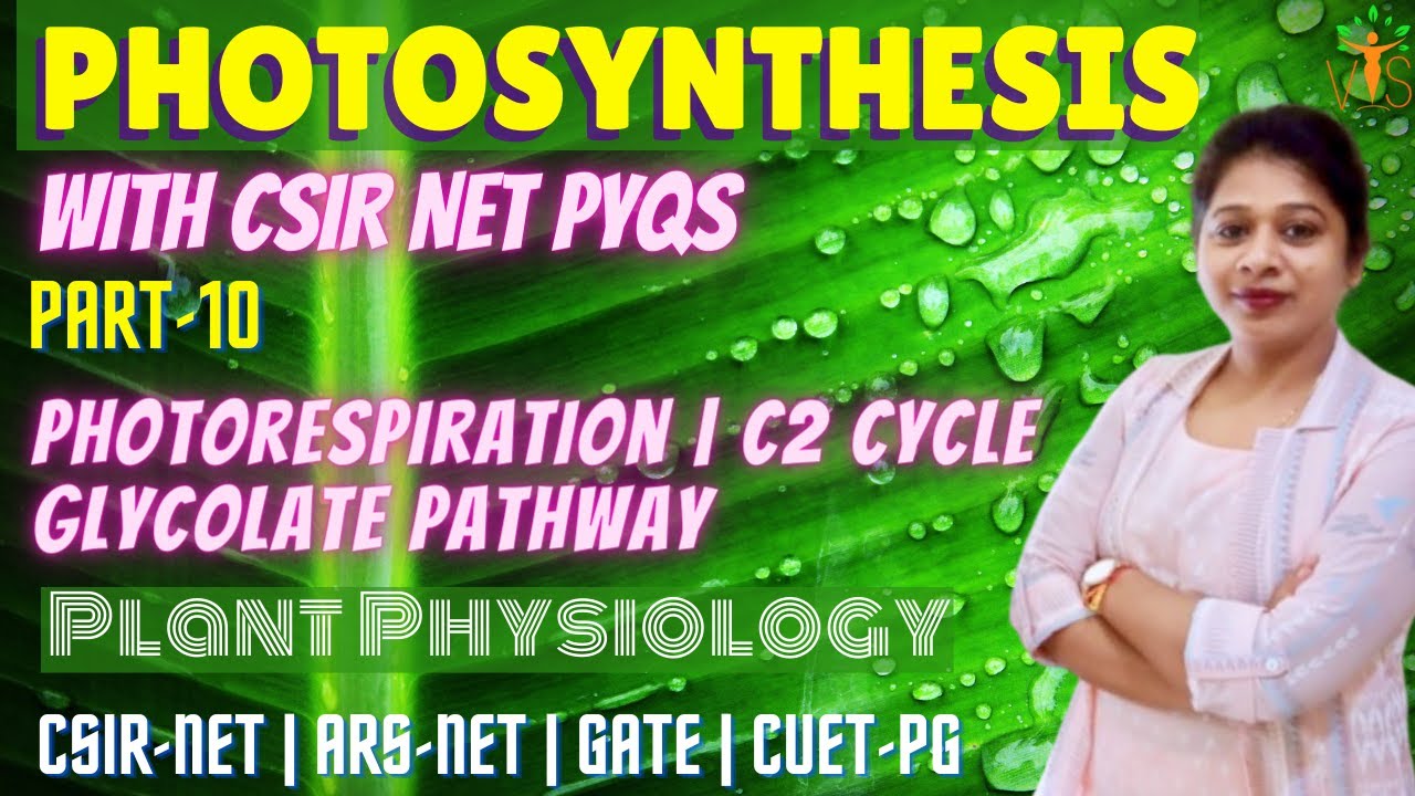 Photosynthesis 10 | Photorespiration | C2 Cycle | Glycolate Pathway | Photosynthesis CSIR NET PYQ