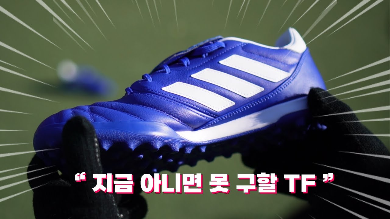 티엠포 붙어볼만 한데요? 코파 글로로 실착리뷰