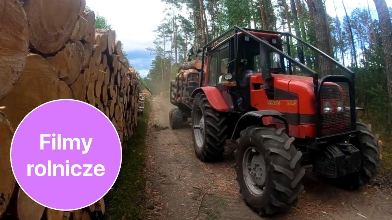 Lot dronem między drzewami 😲 Trzy traktory BELARUS w akcji