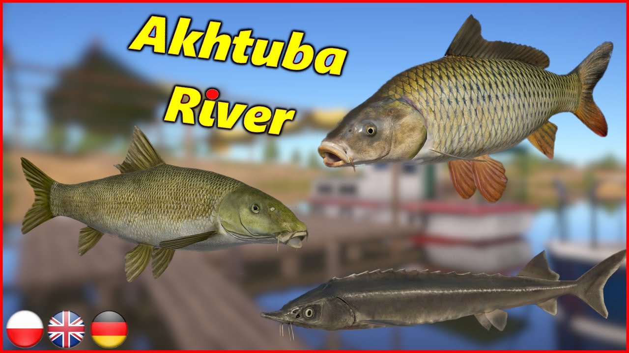 Akhtuba River Barbel & Wild Carp Russian Fishing 4 rf4 spot #mjplay