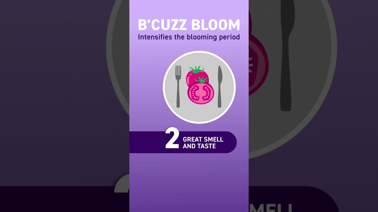 Boost your flower by up to 42% with Atami B'Cuzz Bloom