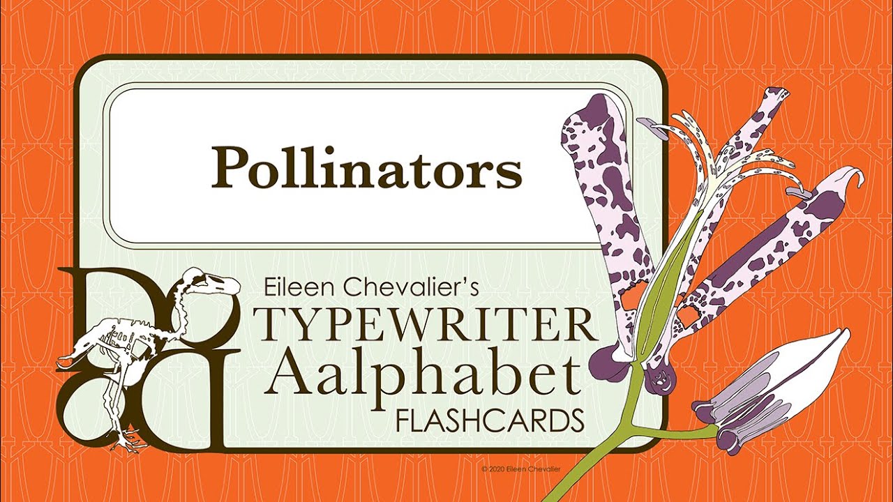 Botany Lesson 25: Pollinators