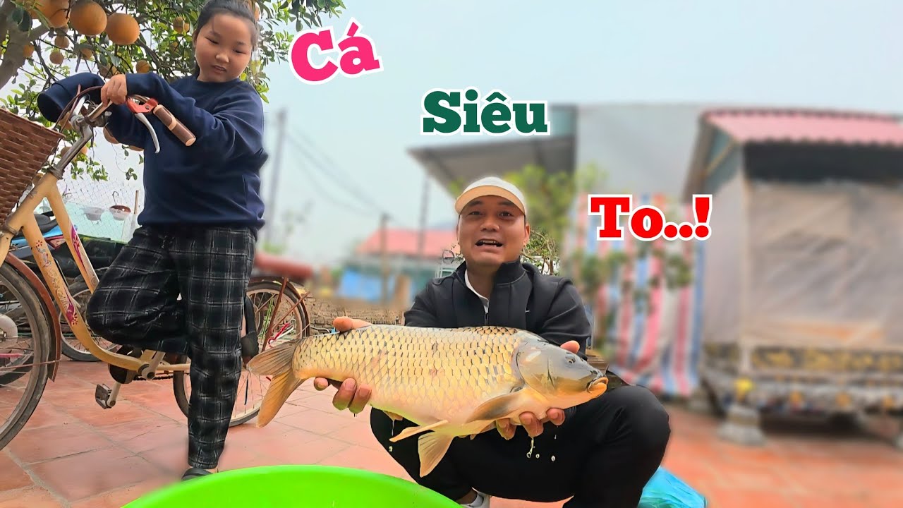 Mua Con Cá Chép Siêu To Khổng Lồ Về Ăn Tết.. 