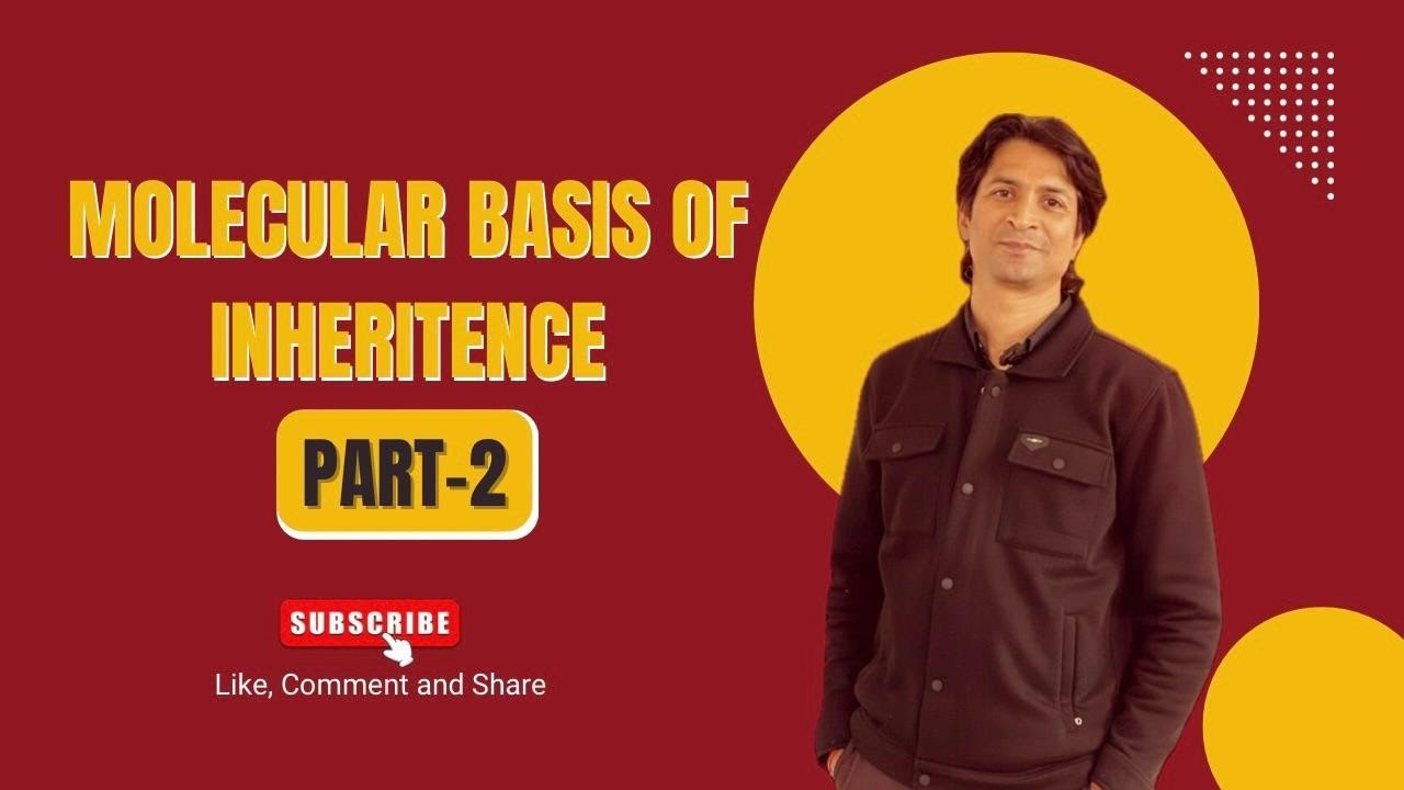 Molecular Basis of Inheritance Part 2