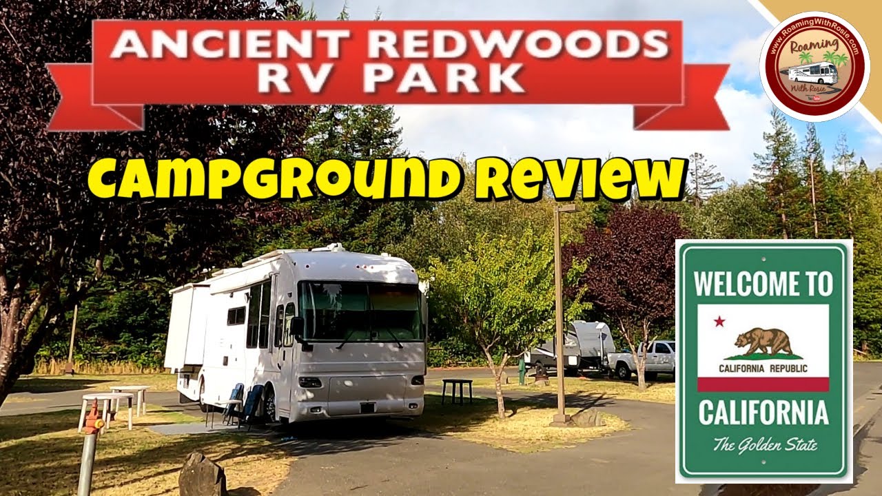 California Redwoods Campground Review: Ancient Redwoods RV Park