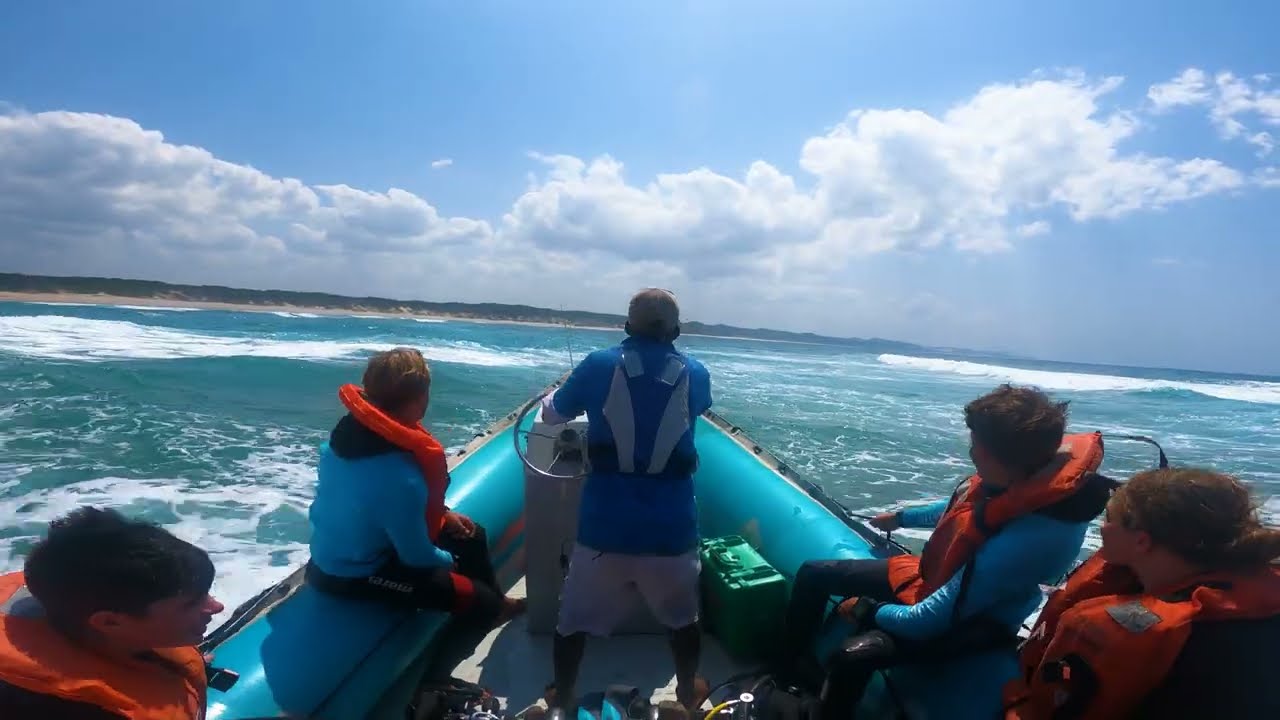 Sodwana Bay Diving (4k)
