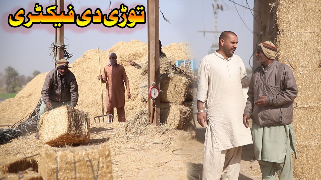 Bhosaa Wapari || Airport Helmet || New Punjabi Comedy | Funny Video 2021 | Chal TV