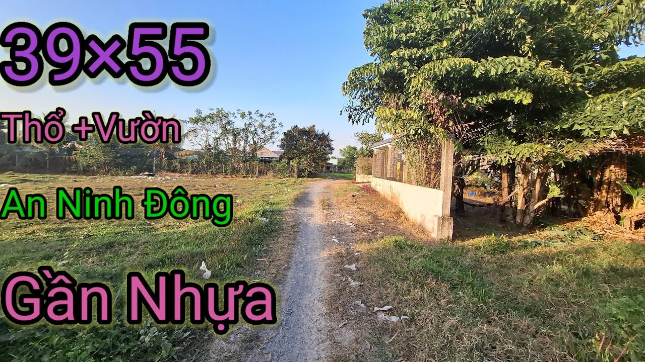 ĐẤT AN NINH ĐÔNG LONG AN CŨ GẦN NHỰA 39×55 THỔ +VƯỜN KHU DÂN CƯ HIỆN HỮU
