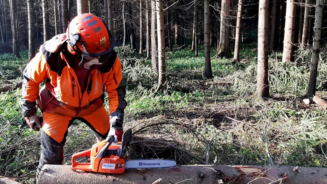 Felling a chain saw with a new Generation Husqvarna 120 MARK II