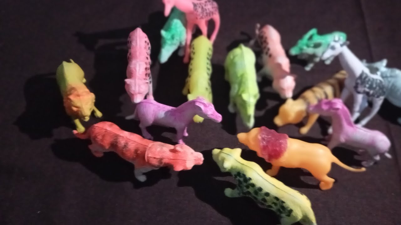 Animal toys and box 🎁🐅🐅🐅 the animals 
