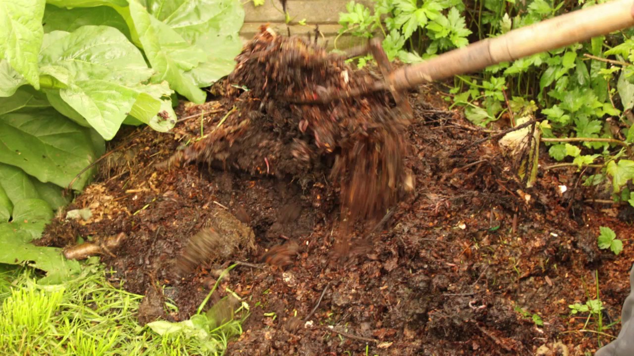 Kompostering av matavfall