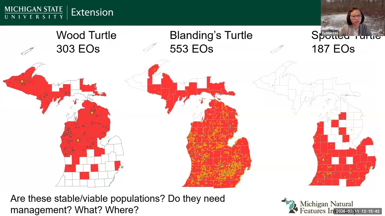 February 2026 | Conserving Blanding’s Turtles through Science and Stewardship