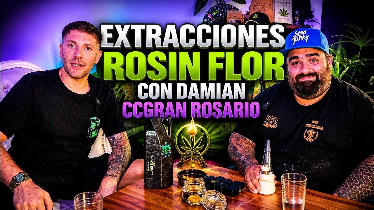#41 &ndash; Extracciones: Rosin flor | con Dami&aacute;n Siacca
