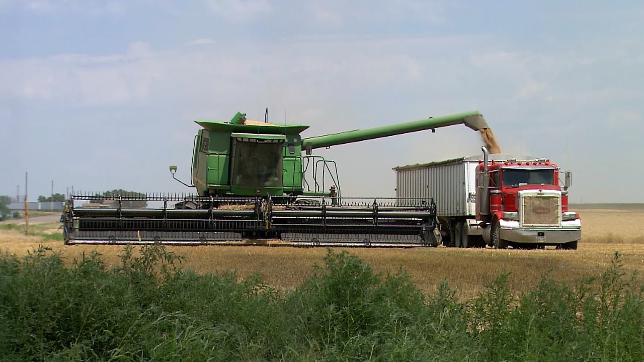 Kansas Wheat Harvest, 2006 | From the Market to Market Tape Library