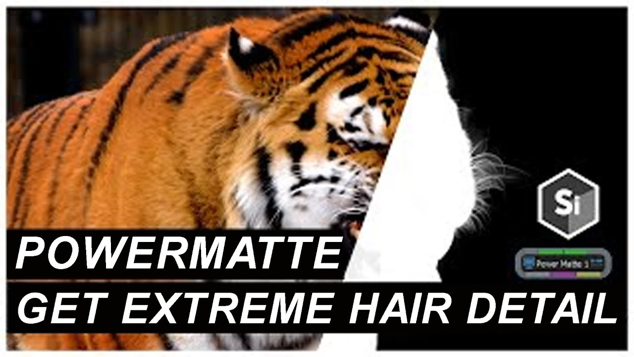 AI Roto || How to Use PowerMatte Node In Silhouette 2023 || Rotomation Tutorial || #rotoscoping #vfx
