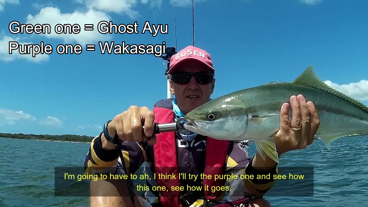 Kingfish Hat Trick on the Adusta Penta Shad
