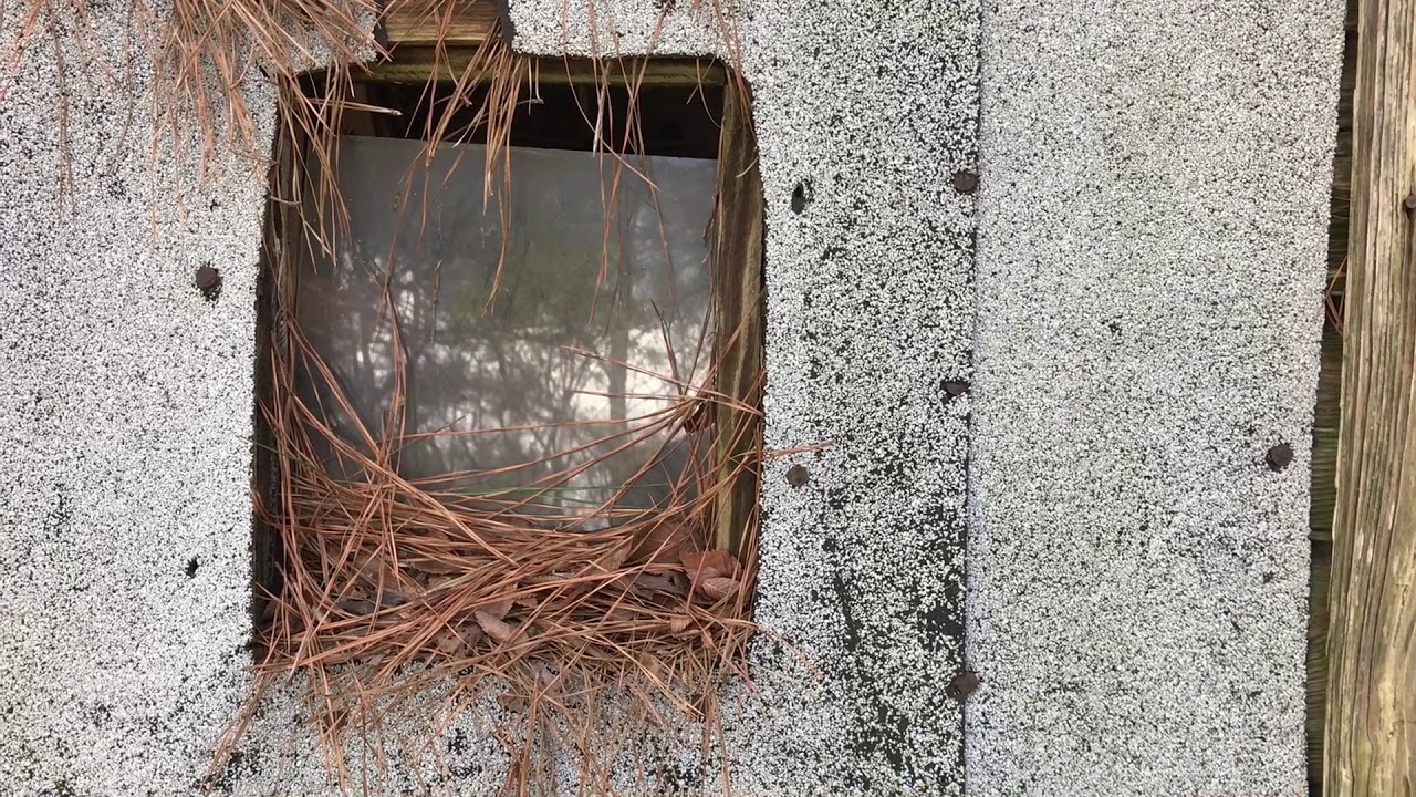 Making a Birdhouse from Tobacco Sticks