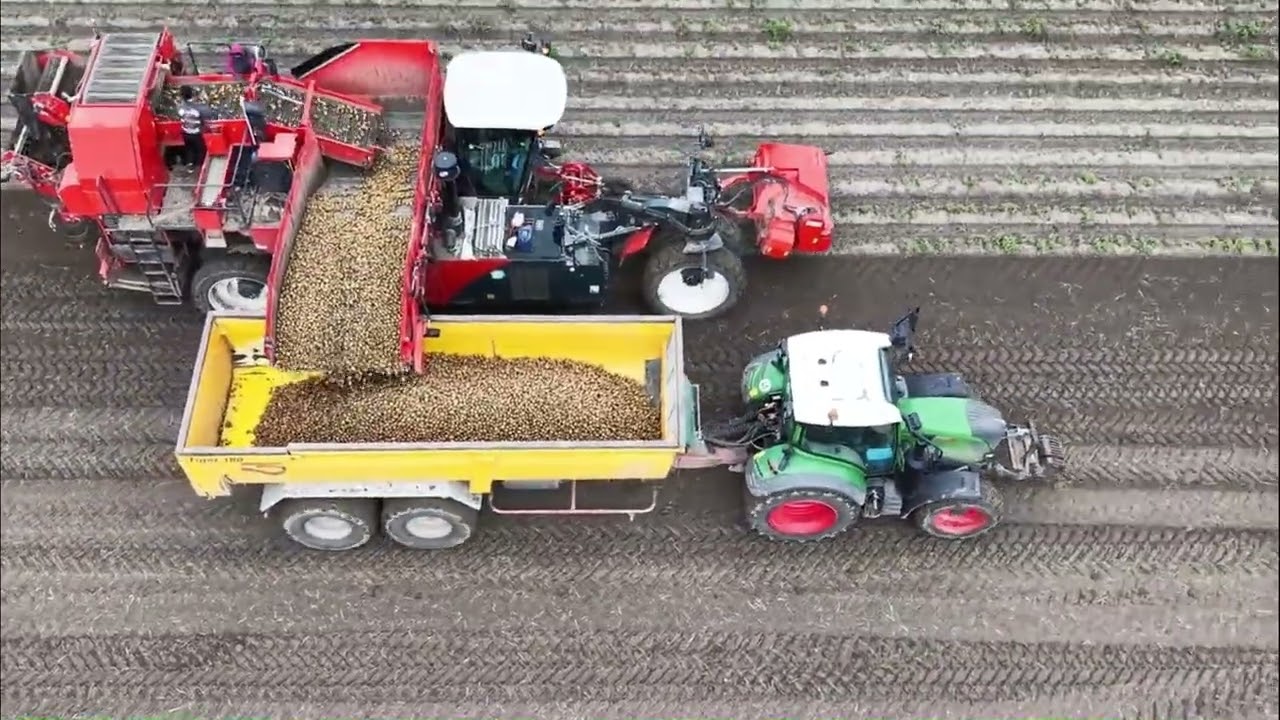Aardappels rooien door Breure De Waard voor ERF B.V./ Harvesting potatoes.