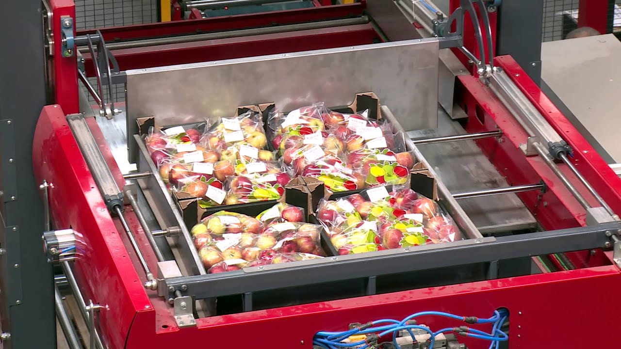 Palletizing line implemented in King Fruit