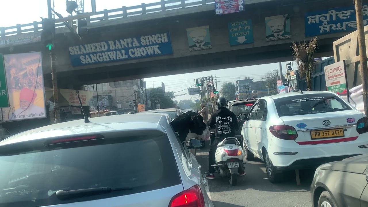 Jalandhar bypass