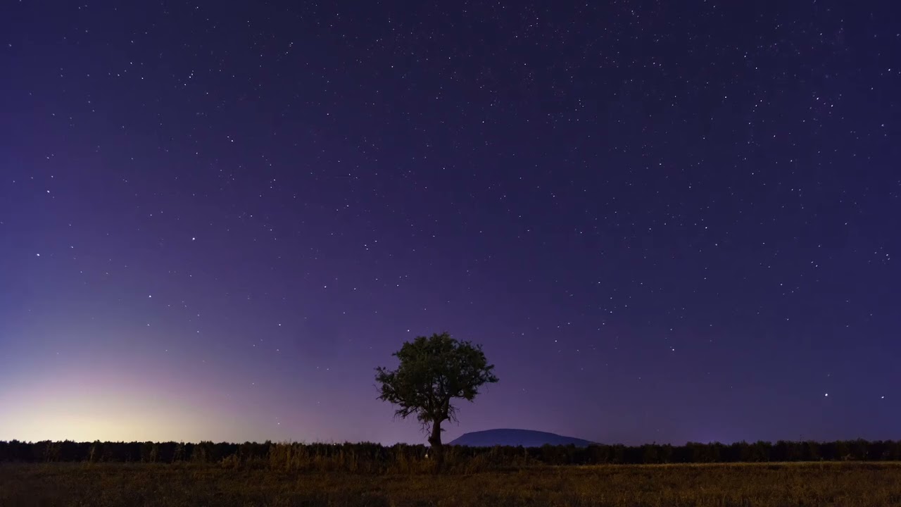 Deep Sleep Music 8 Hours | Calm Ambient for Insomnia Relief | by Harbor Drift