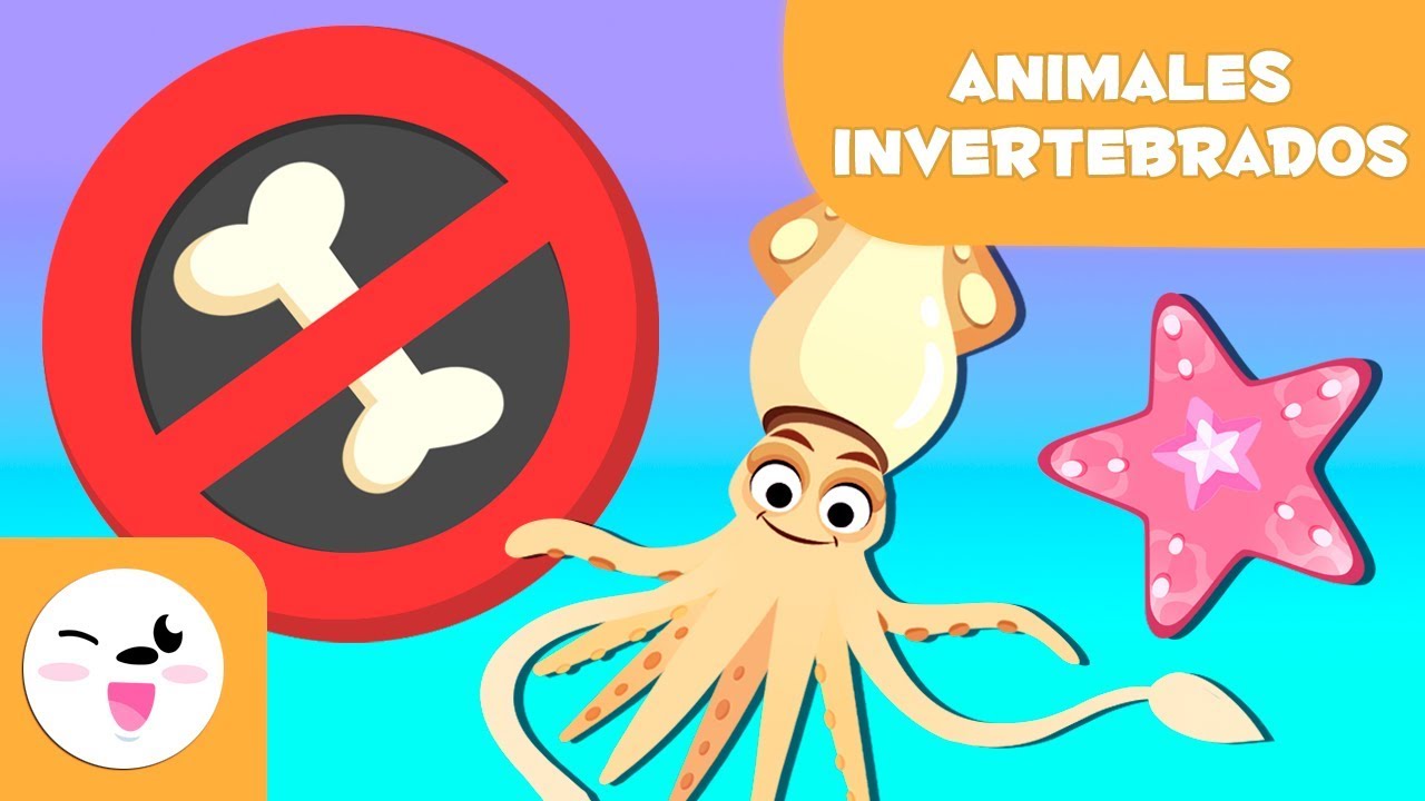 ANIMALES INVERTEBRADOS  - Artrópodos, moluscos, gusanos, celentéreos, equinodermos y esponjas