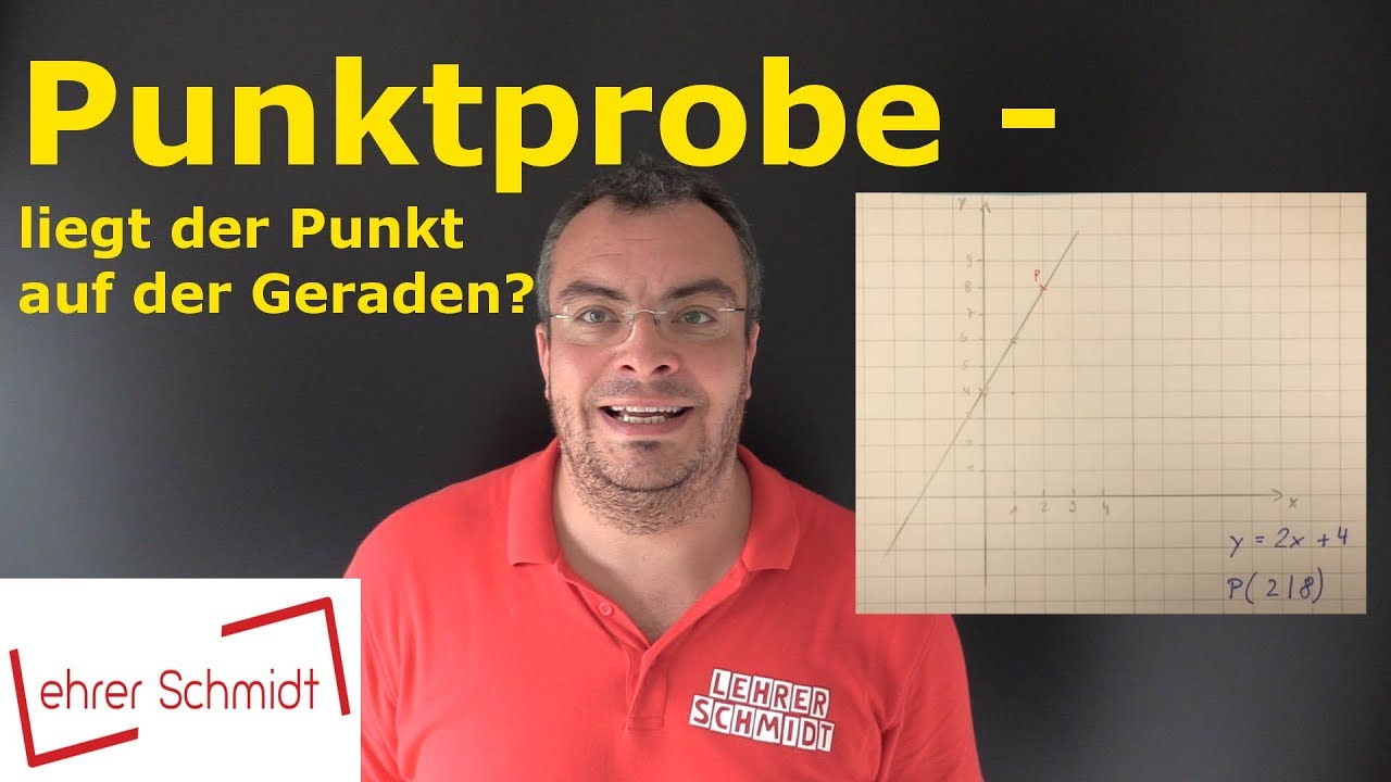 Punktprobe - Liegt der Punkt auf der Geraden? | Mathematik - einfach erkl&auml;rt | Lehrerschmidt