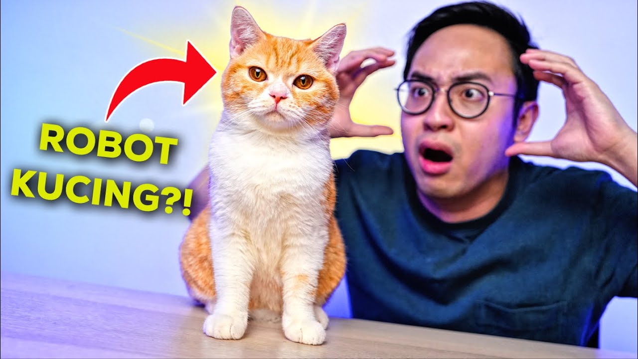 APAKAH KUCING INI CUMA MAINAN? KOK KAYAK ASLI?! 😱