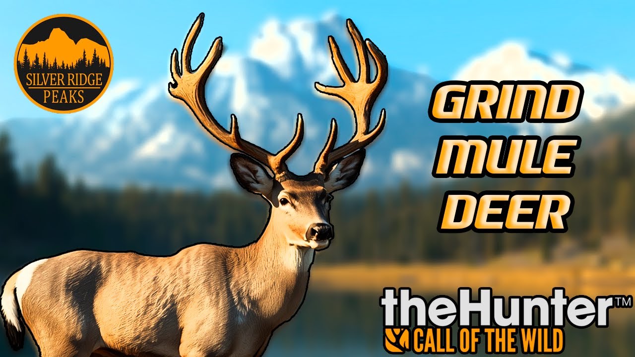 LIVE ON COMO CONTINUAR no GRIND do VEADO MULA🔥 SILVER RIDGE PEAKS!