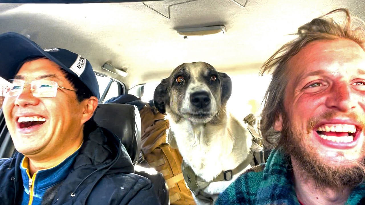 犬と世界旅行している珍しい人に会いました！I met a rare traveler who is journeying with a dog!