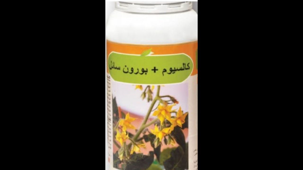 كيف تصنع بورن كالسيوم بنفسك