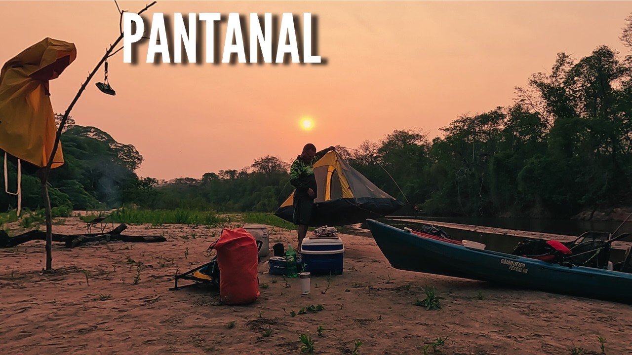 ACAMPANDO E PESCANDO fiz PIRAPUTANGA na fogueira. MUITO peixe na linha.