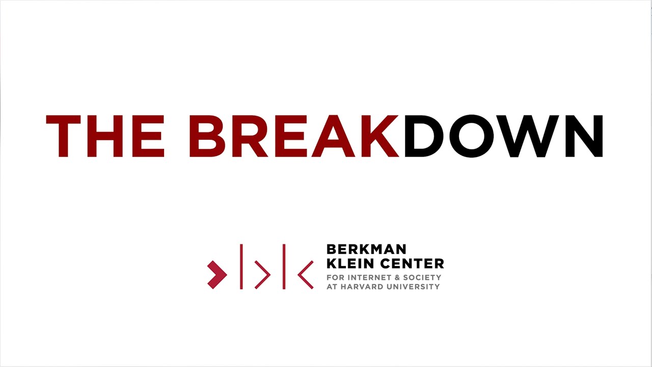 The Breakdown: Brian Scully on government response to disinformation