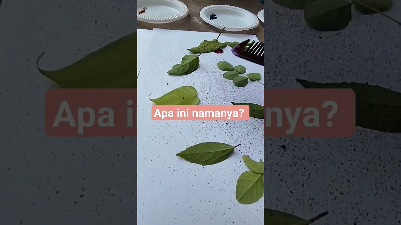 lukis dengan sisir 