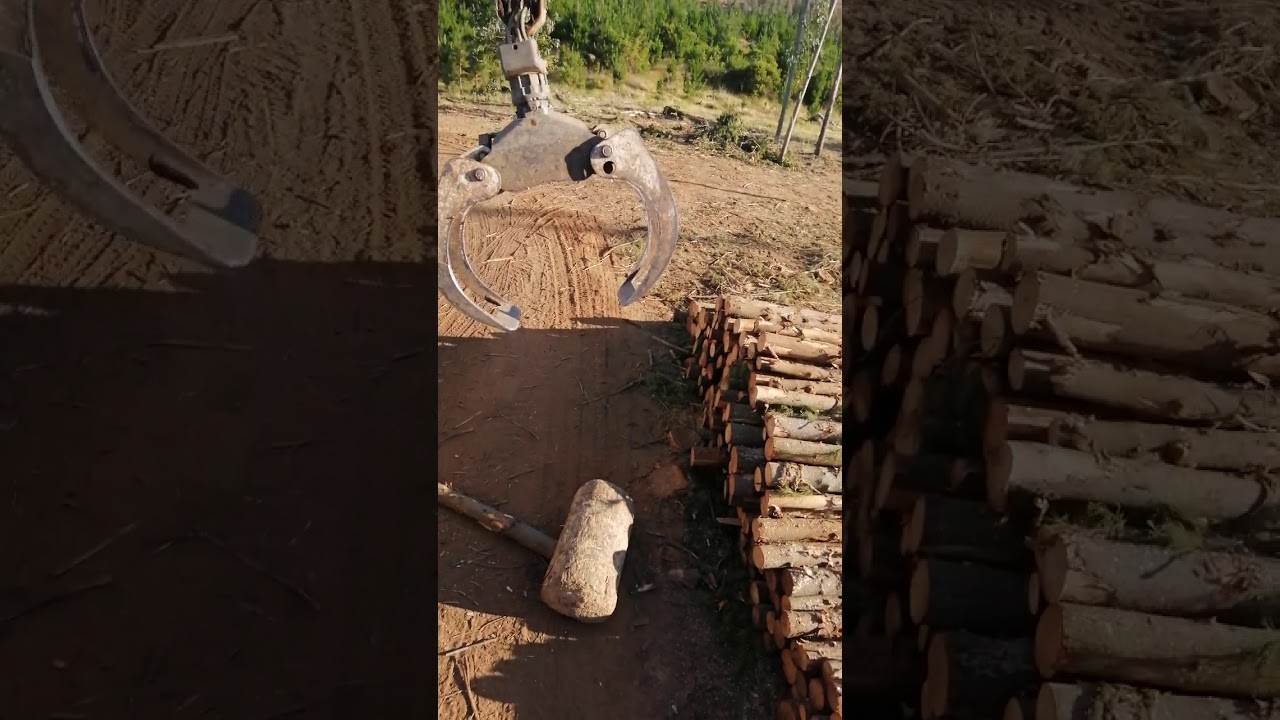Autocargante forestal