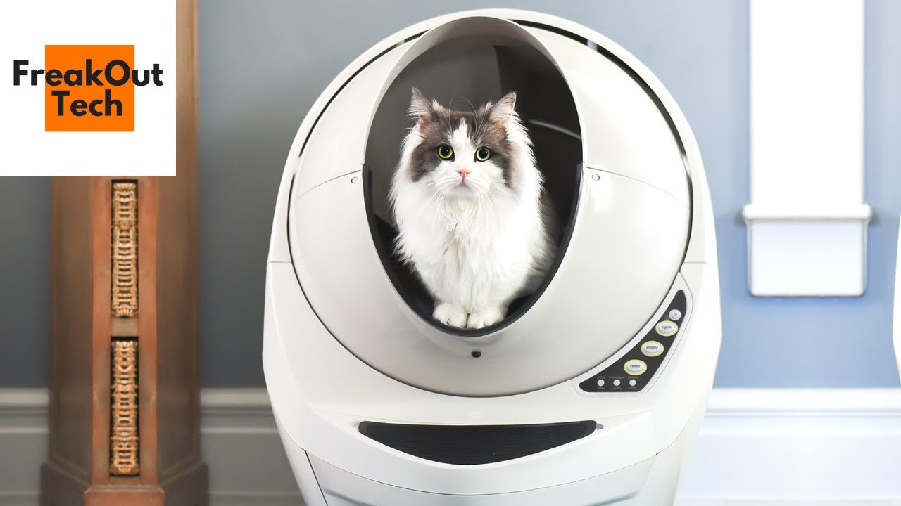 Everything You Need To Know About The Litter Robot 3 Connect
