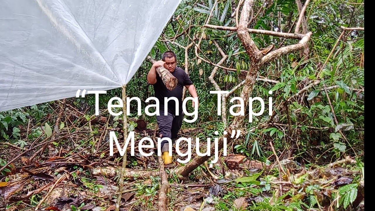 Tidur Semalaman Dengan Atap Plastik & Karung Sahaja… Tahan Ke?”  #survival  @ricolilofamily3991 