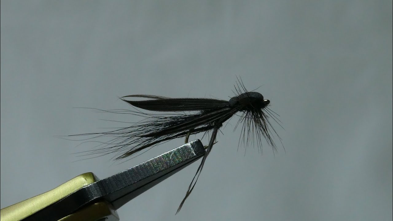 Montage d'une Bibio Marci