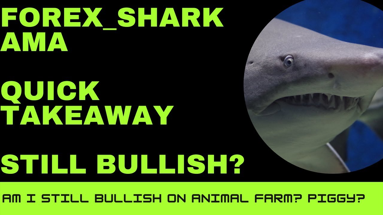 Forex Shark AMA - Very Quick Takeaways on Piggy Bank and New Partnerships and Sustainability etc..
