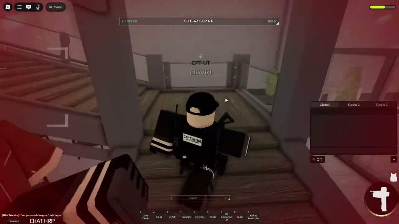 SCP site 43 (33) 