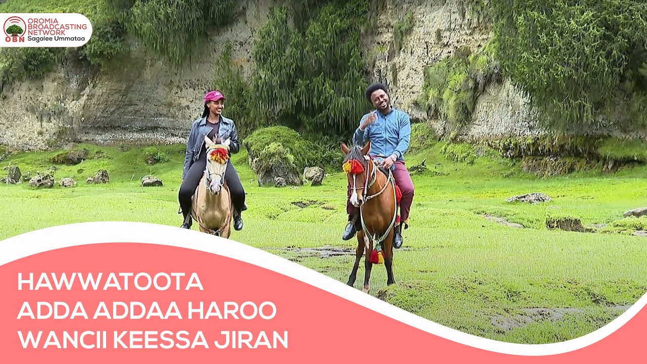 Hawwattoota adda addaa Haroo Wancii keessa jiran