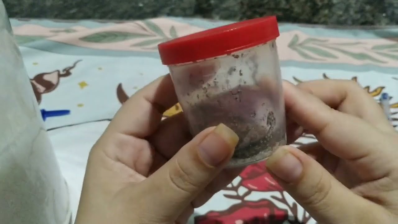 ELE VAI LIGAR TODA HORA NAO VAI DESGRUDAR DE VOCÊ